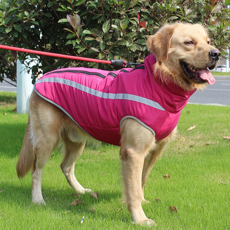 Amazon κορυφαίος πωλητής εξατομικευμένο σκυλί μαστίγιο σκύλου ενδυμασία αντανακλαστική αναπνοή για μεσαία και μεγάλα σκυλιά