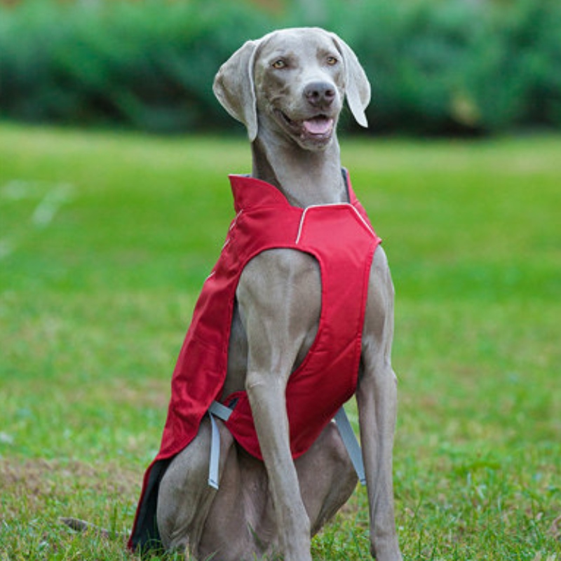 Κλασικό στυλ αντανακλαστικό σκύλο παλτό αδιάβροχο ρυθμιζόμενο χειμώνα σκύλο σακάκι αναστρέψιμο ελαφρύ ελαφρύ
