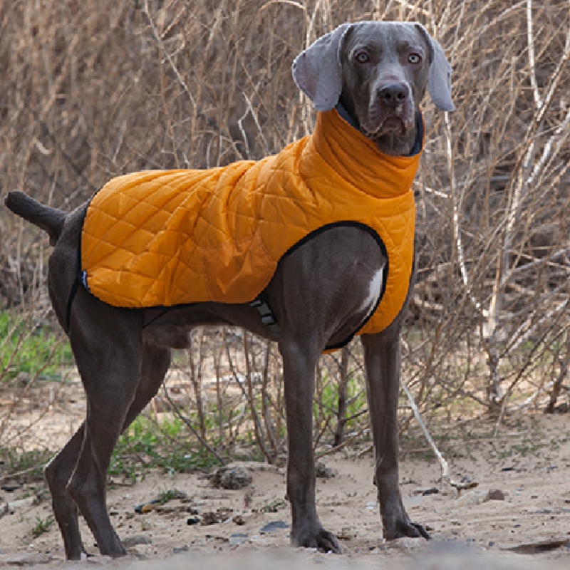 Amazon ζεστό πώληση νέα ρούχα ρούχα σκύλου ρούχα φθινόπωρο και χειμώνα πάχυνση ελαστικό πουλόβερ πουλόβερ πουλόβερ